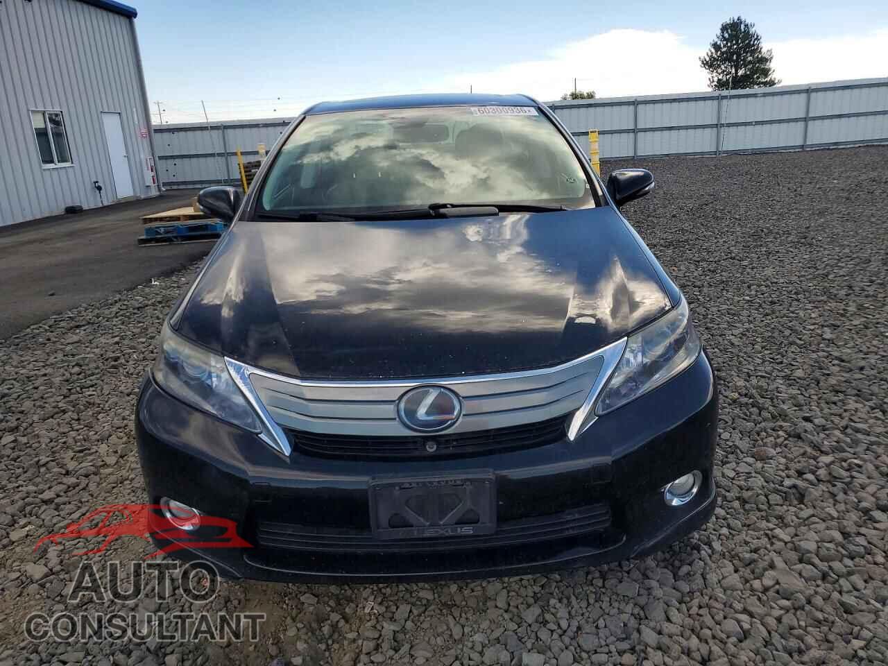 LEXUS HS 2010 - JTHBB1BA8A2007071