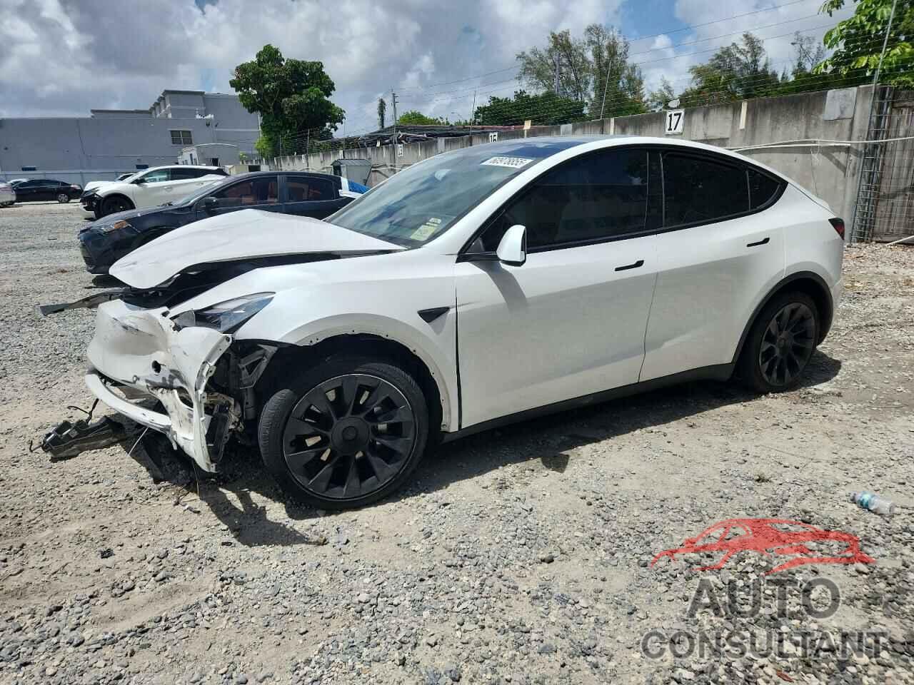 TESLA MODEL Y 2021 - 5YJYGDEE7MF144209