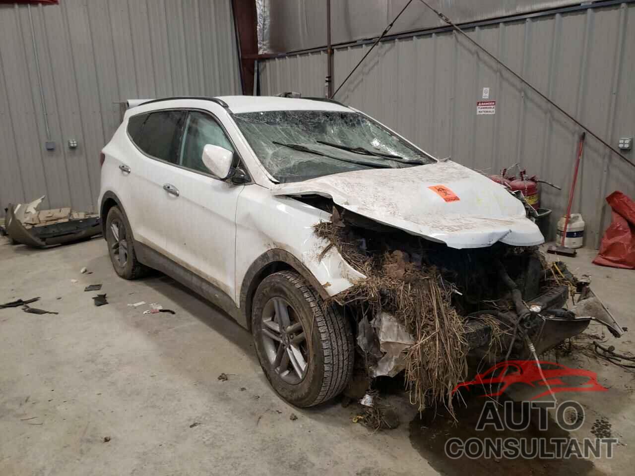 HYUNDAI SANTA FE 2017 - 5NMZUDLB2HH017572