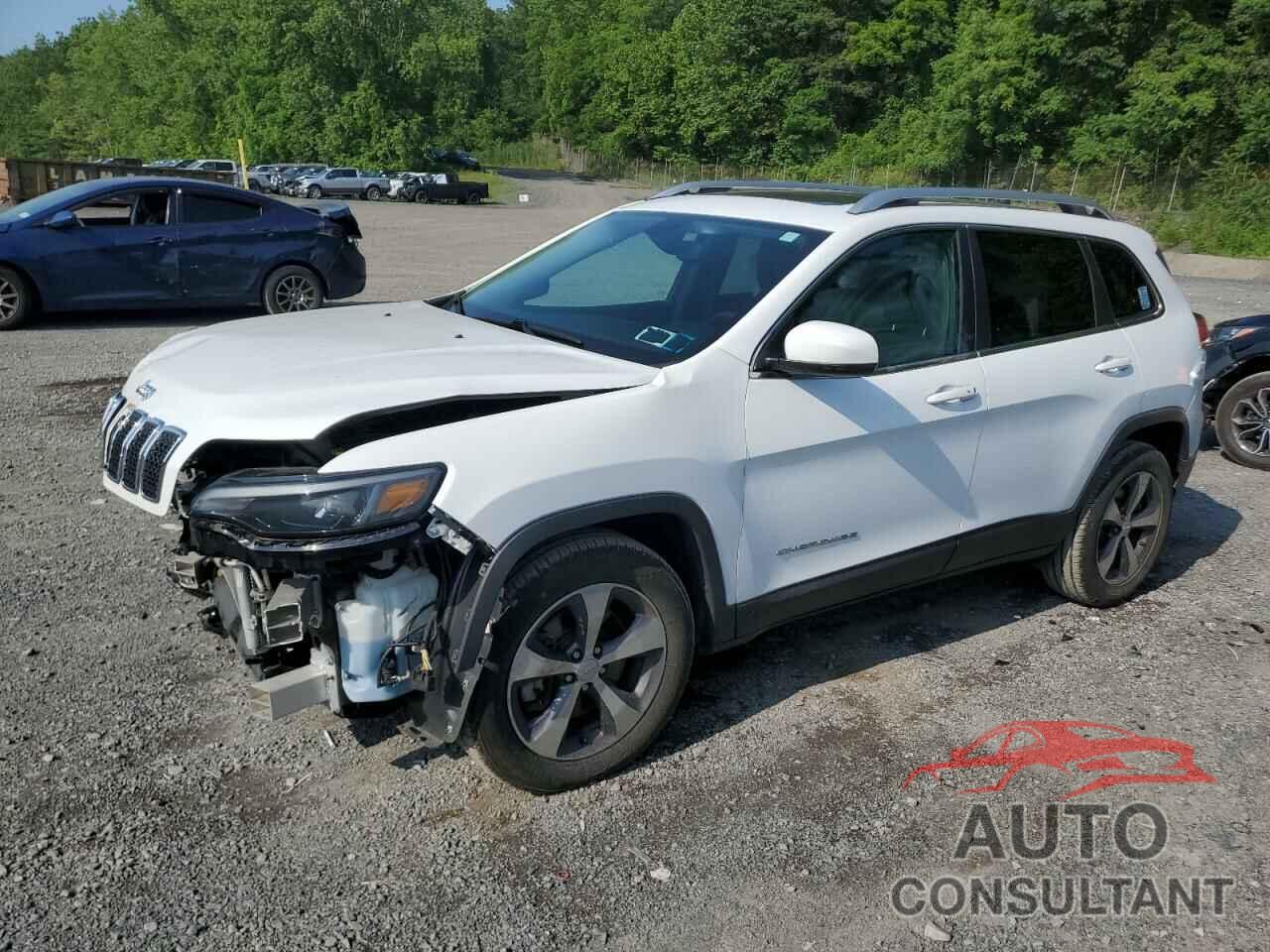 JEEP GRAND CHER 2019 - 1C4PJMDX1KD293624