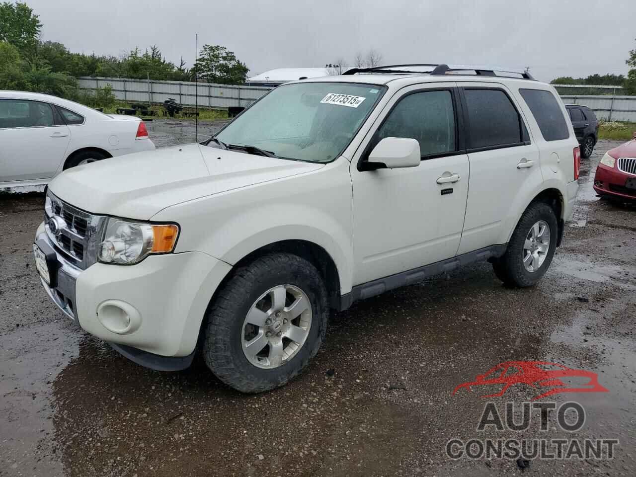 FORD ESCAPE 2011 - 1FMCU0E72BKA80668