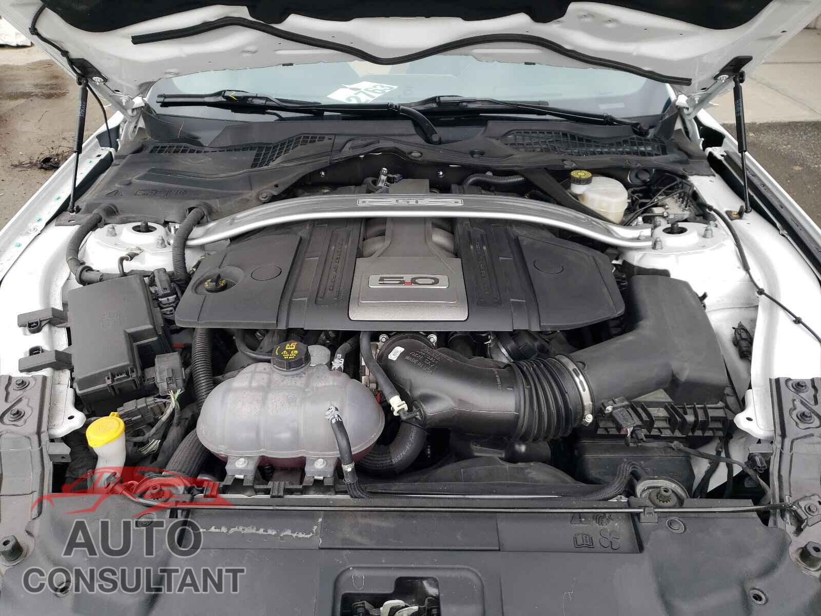 FORD MUSTANG 2019 - 1FA6P8CFXK5196903