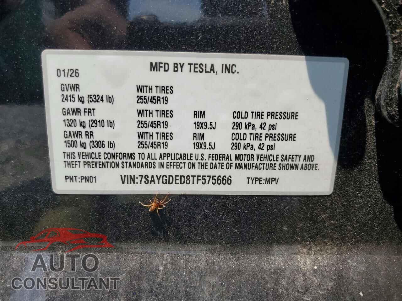 TESLA MODEL Y 2026 - 7SAYGDED8TF575666