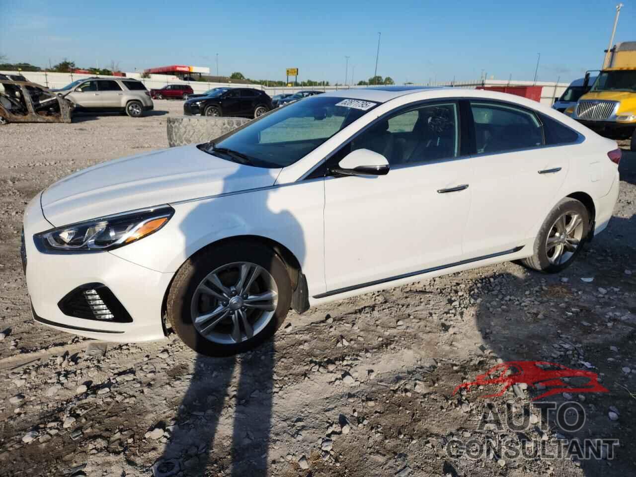 HYUNDAI SONATA 2019 - 5NPE34AF0KH795211