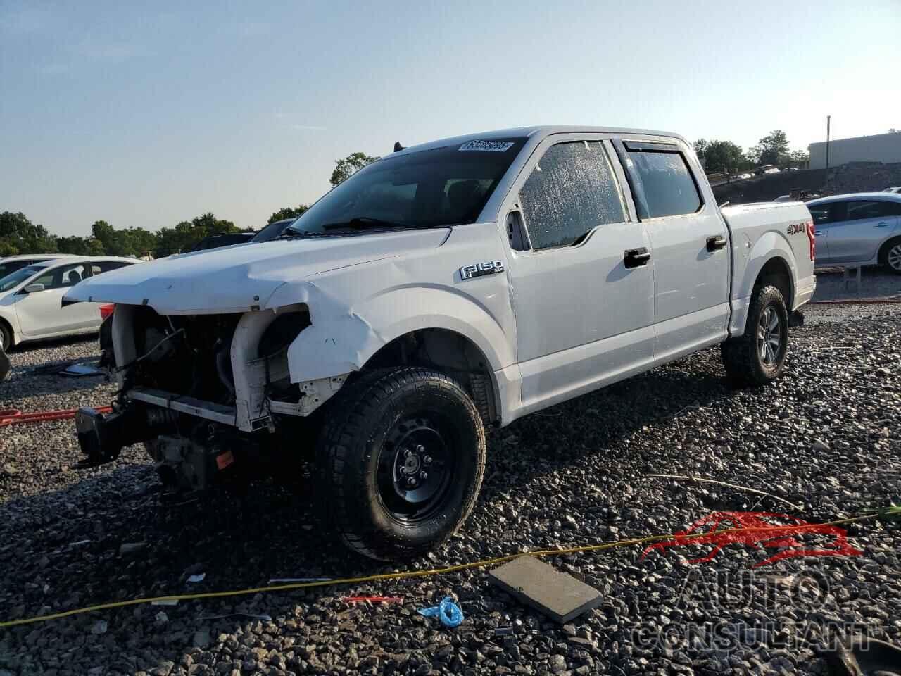 FORD F-150 2019 - 1FTEW1EP0KKD05828