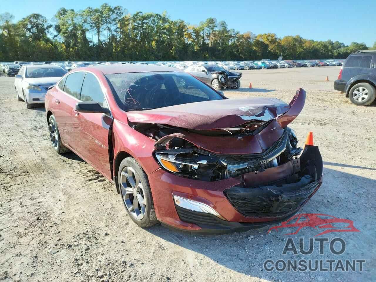 CHEVROLET MALIBU 2019 - 1G1ZG5STXKF227521