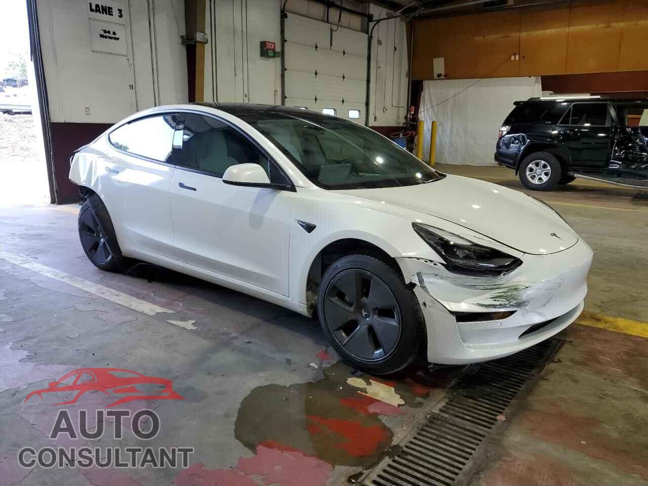TESLA MODEL 3 2021 - 5YJ3E1EA2MF987584