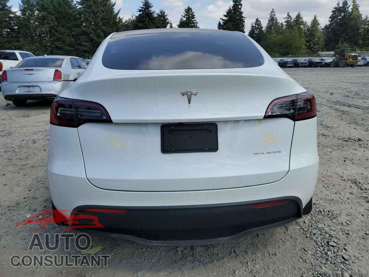 TESLA MODEL Y 2023 - 7SAYGDEE0PF620033