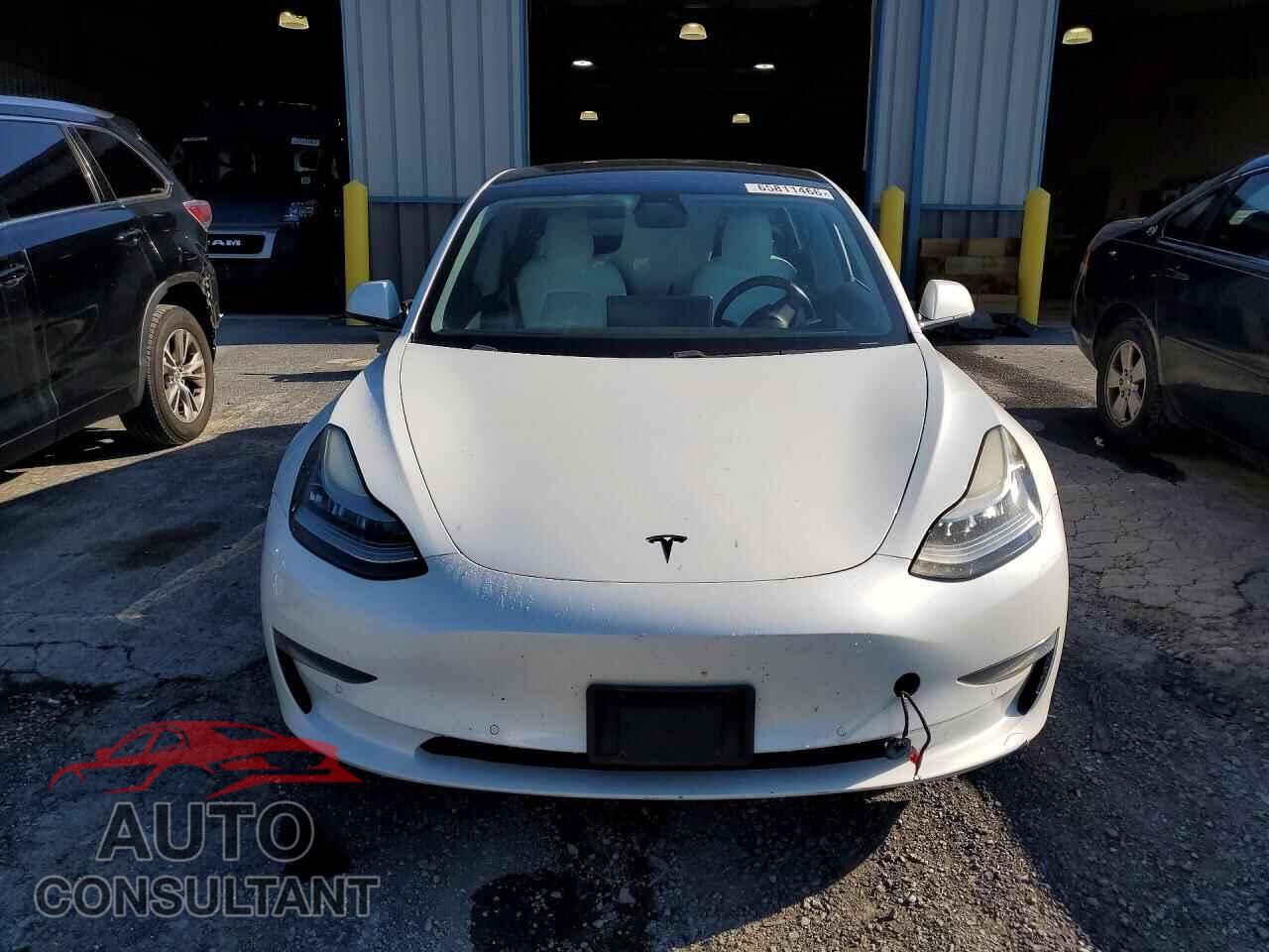 TESLA MODEL 3 2019 - 5YJ3E1EB8KF195610