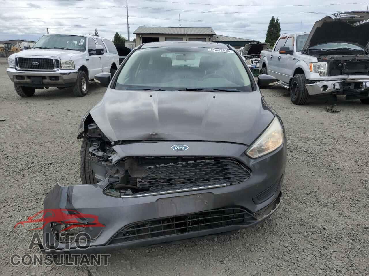 FORD FOCUS 2015 - 1FADP3K28FL242707