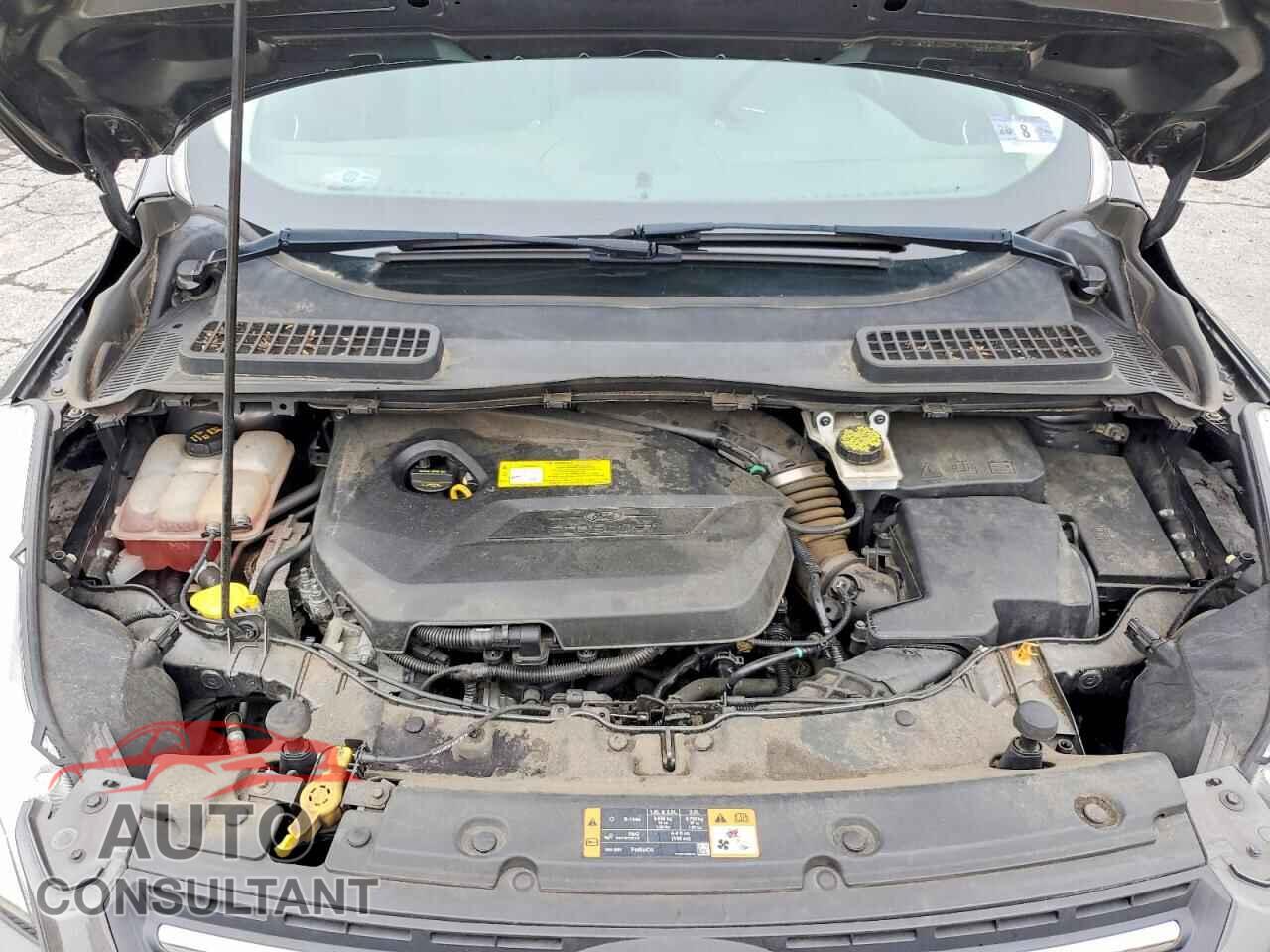 FORD ESCAPE 2016 - 1FMCU9GX3GUA17060