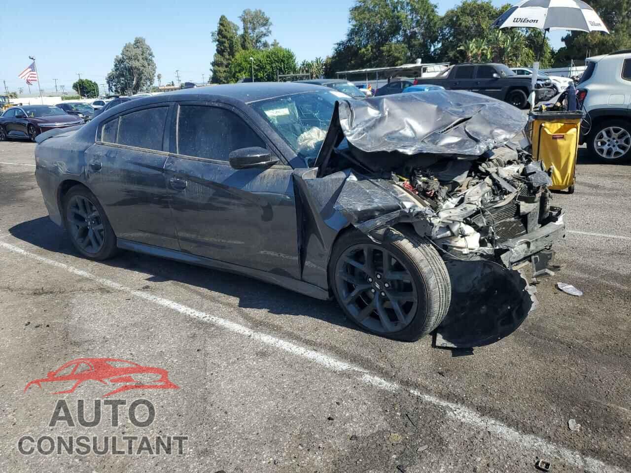 DODGE CHARGER 2019 - 2C3CDXHG7KH675701