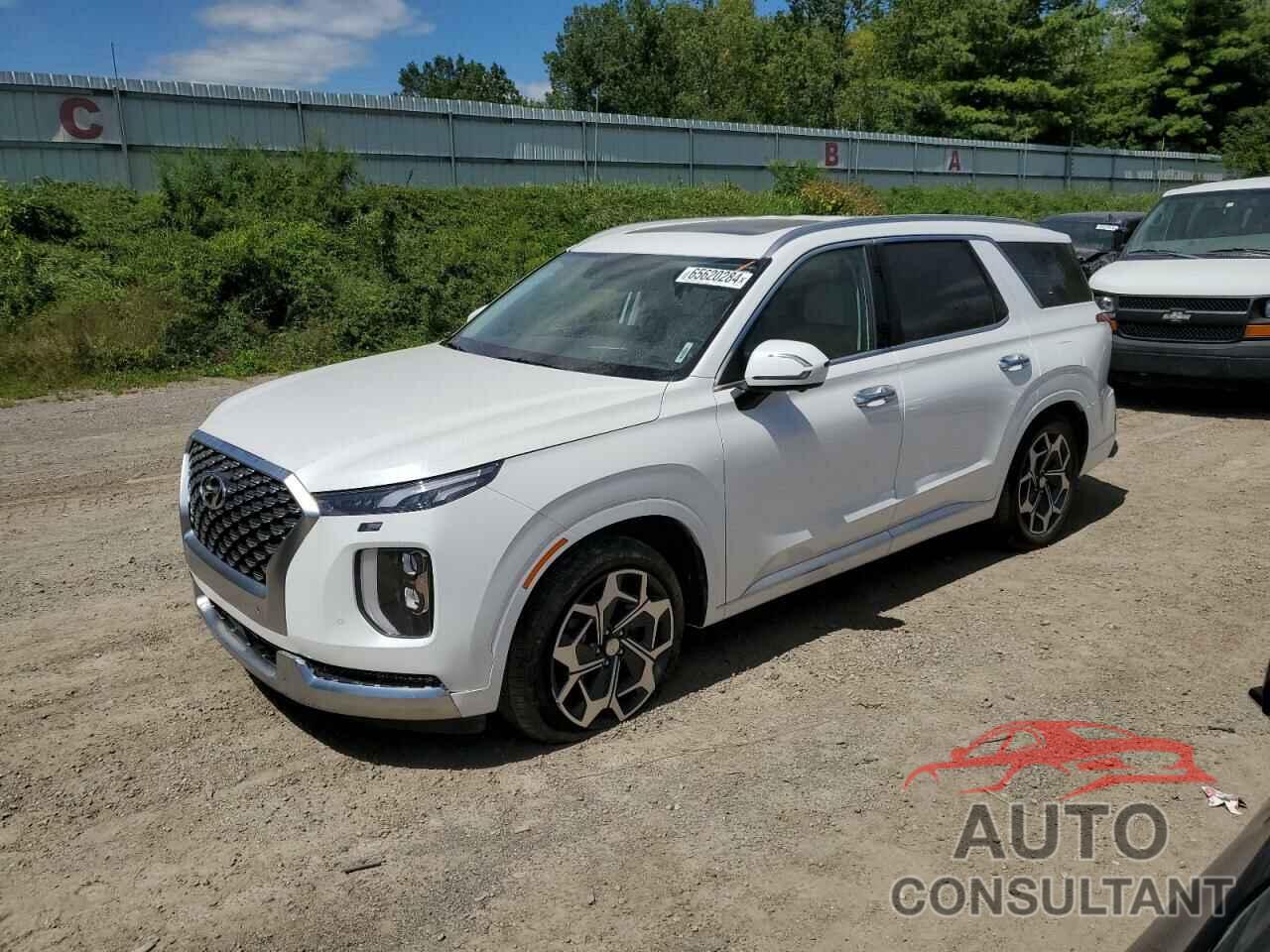 HYUNDAI PALISADE 2021 - KM8R7DHE5MU245820