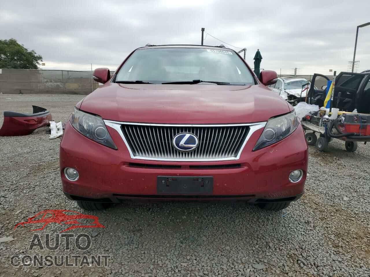 LEXUS RX450 2010 - JTJBC1BA0A2009604