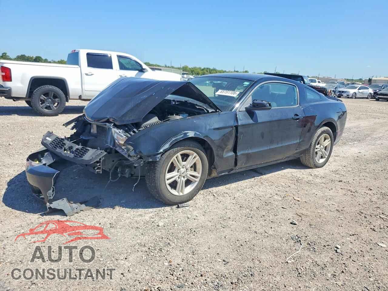 FORD MUSTANG 2011 - 1ZVBP8AM2B5167578