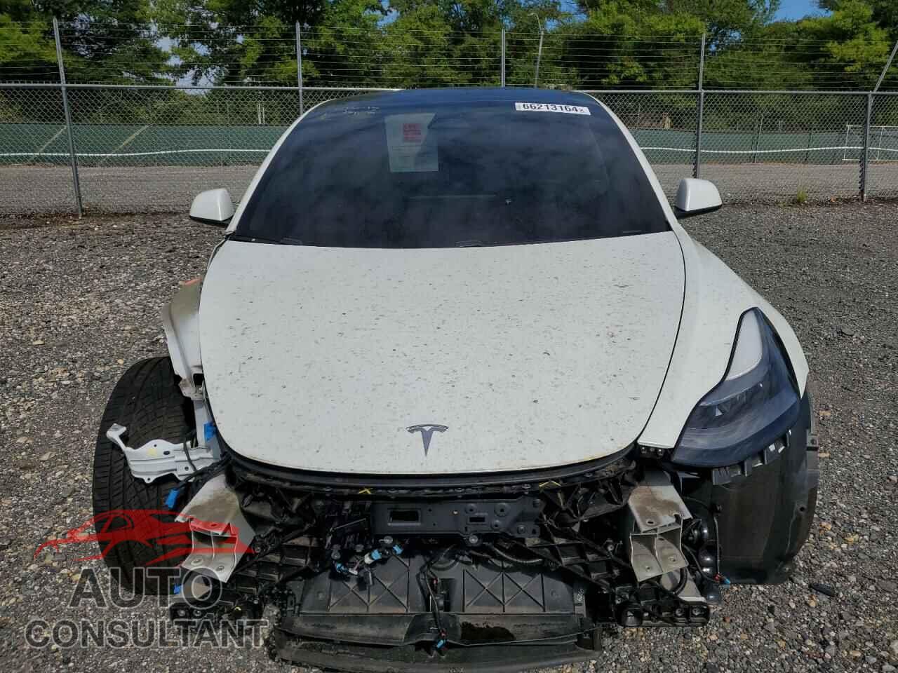 TESLA MODEL 3 2021 - 5YJ3E1EA4MF987781