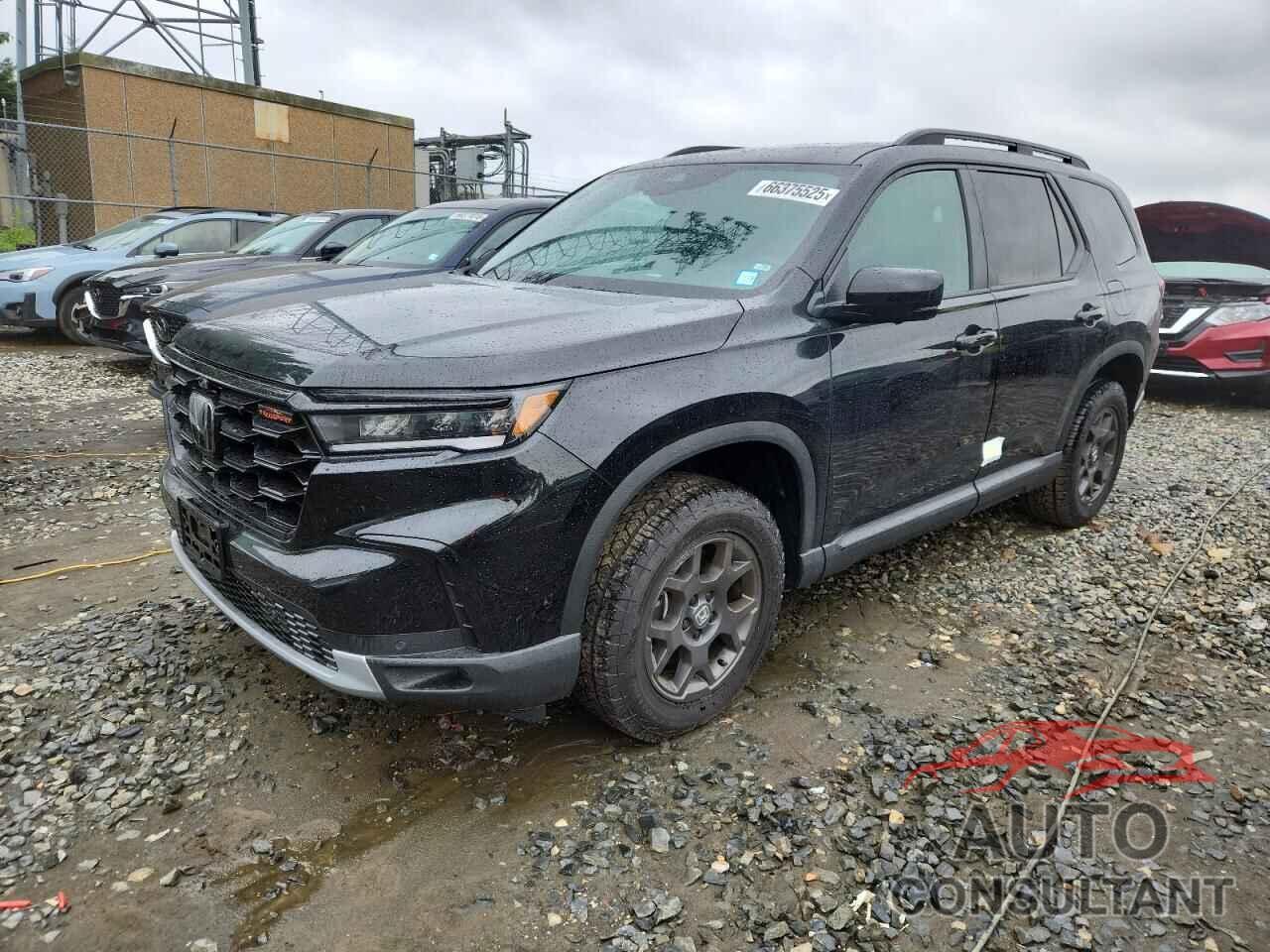 HONDA PILOT 2025 - 5FNYG1H62SB075946