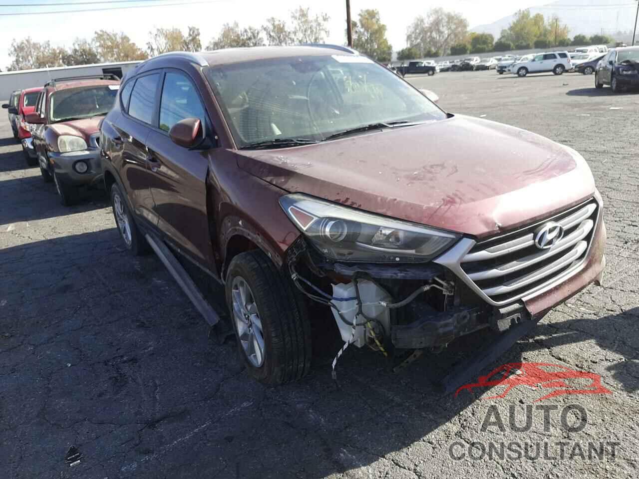 HYUNDAI TUCSON 2017 - KM8J33A42HU264710