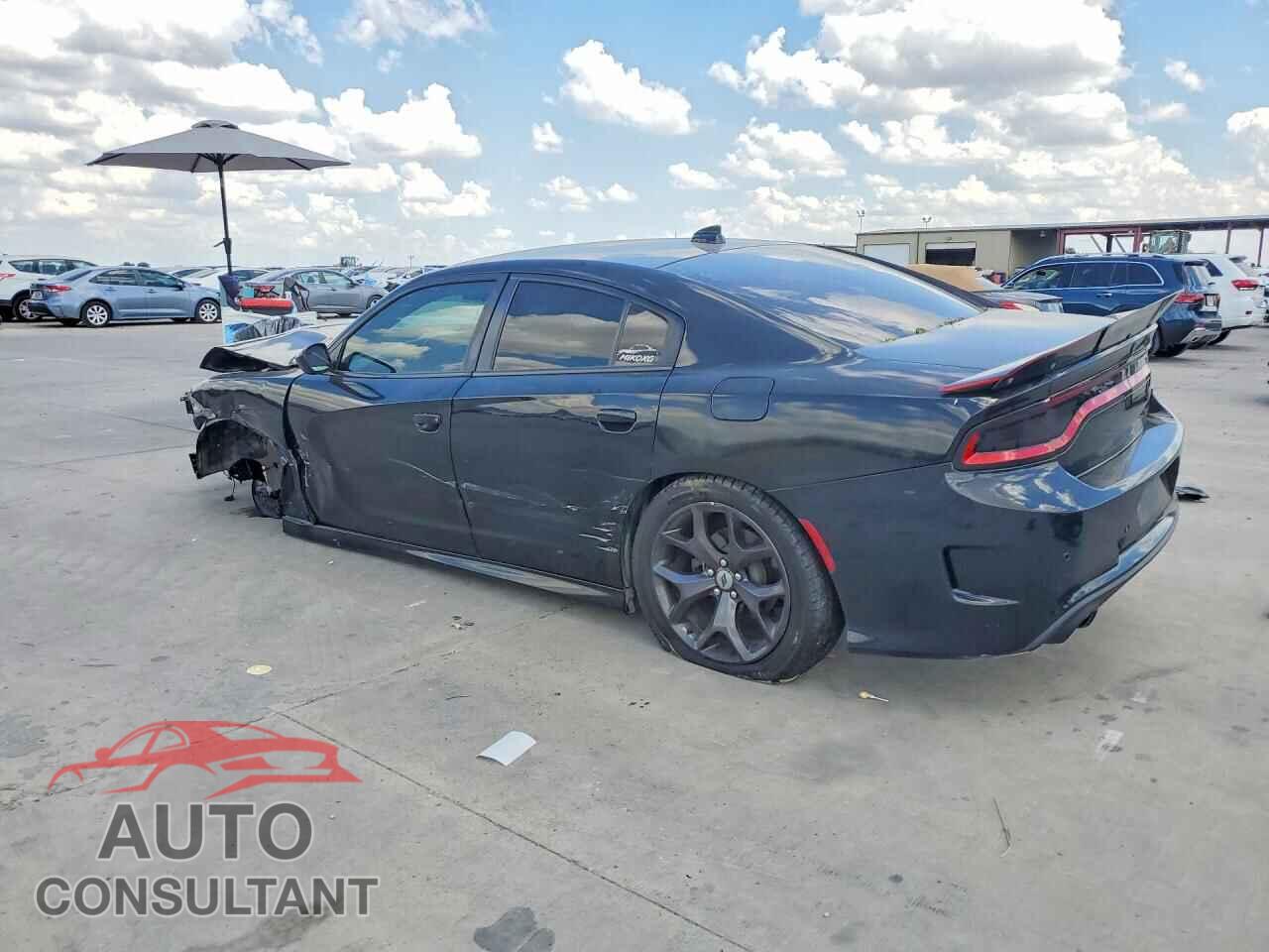 DODGE CHARGER 2019 - 2C3CDXCTXKH643815