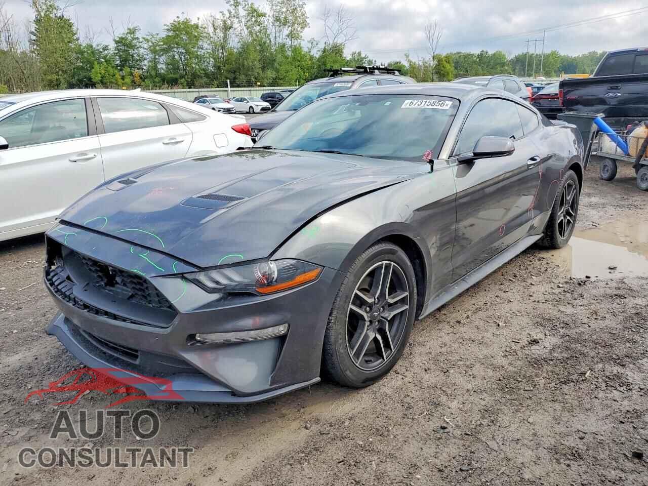 FORD MUSTANG 2019 - 1FA6P8THXK5114640
