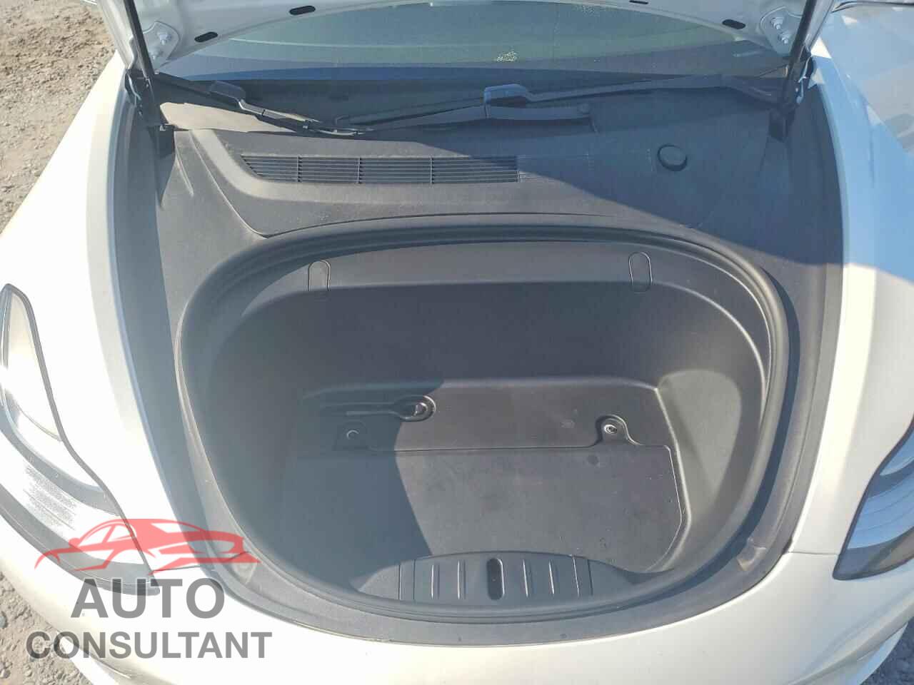 TESLA MODEL 3 2019 - 5YJ3E1EA0KF484097