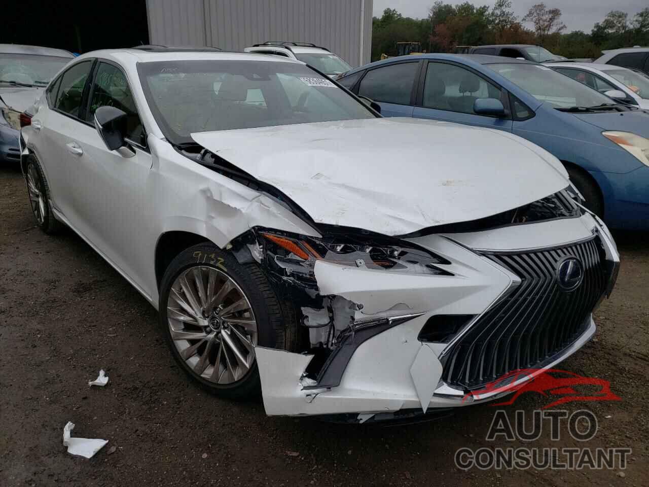 LEXUS ES300 2019 - JTHB21B13K2023535