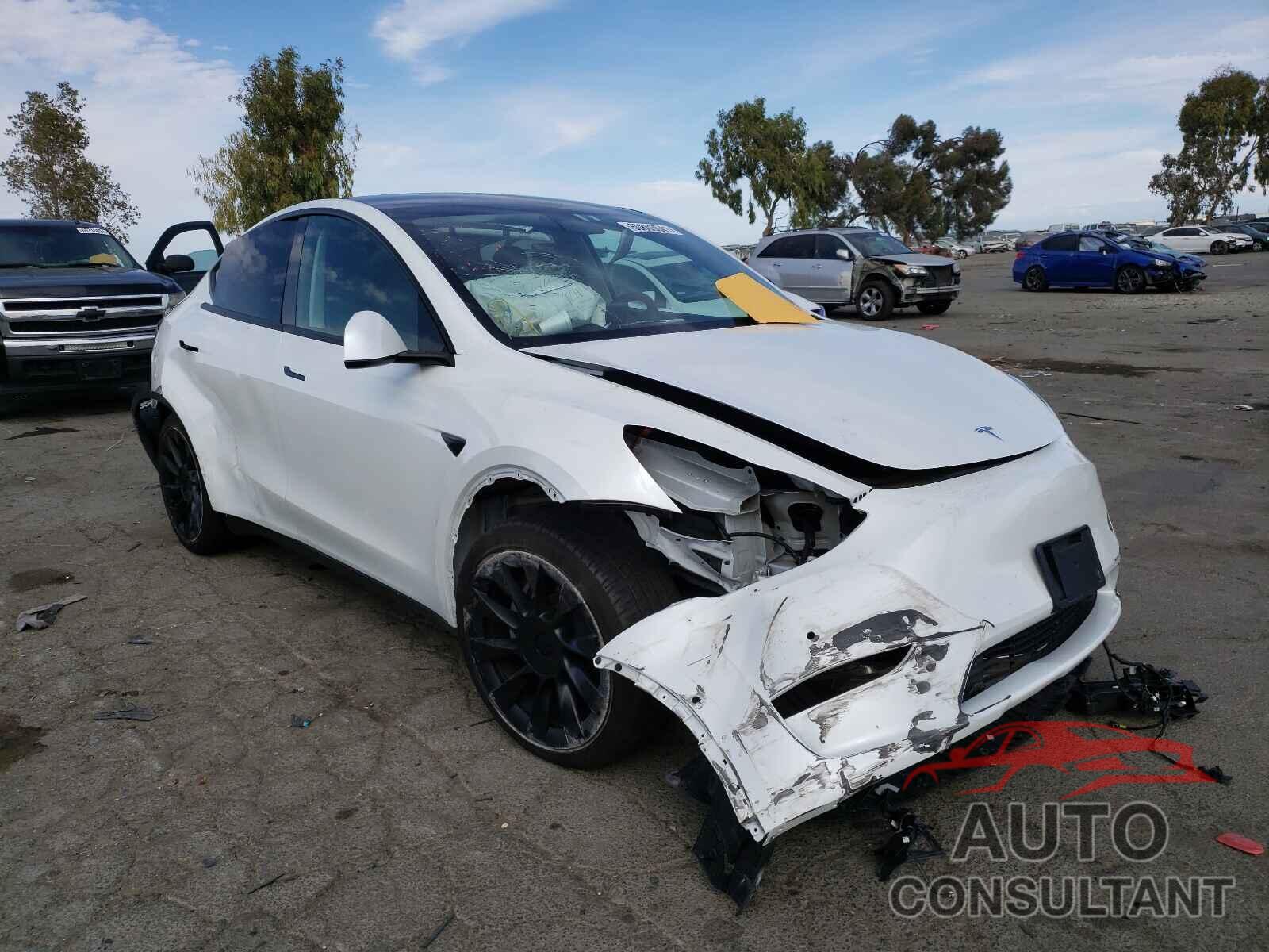 TESLA MODEL Y 2021 - 5YJYGDEE1MF087778