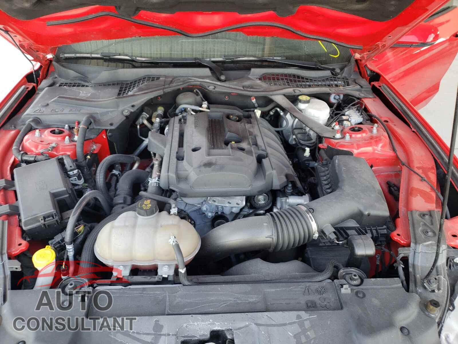 FORD MUSTANG 2019 - 1FATP8UH6K5109551