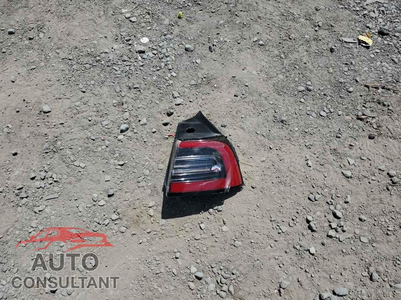 TESLA MODEL 3 2019 - 5YJ3E1EA3KF509302