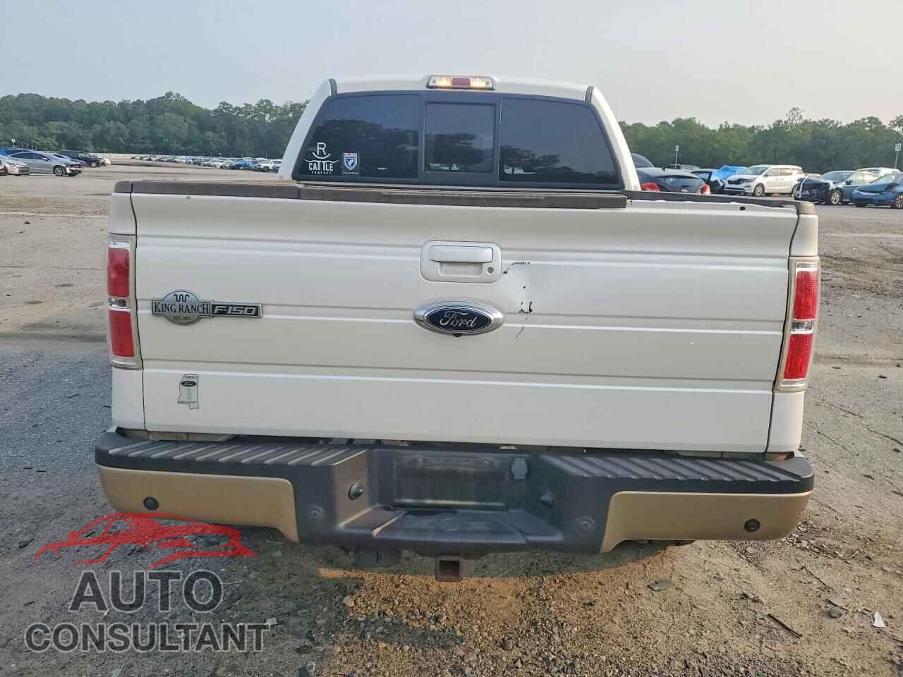 FORD F150 2012 - 1FTFW1EF3CKD63493