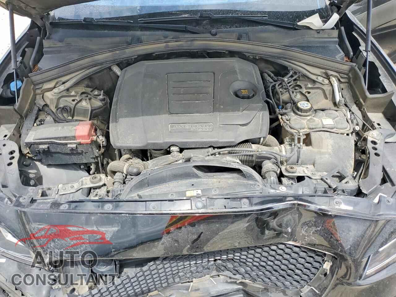 JAGUAR F-PACE 2020 - SADCJ2FX2LA643530