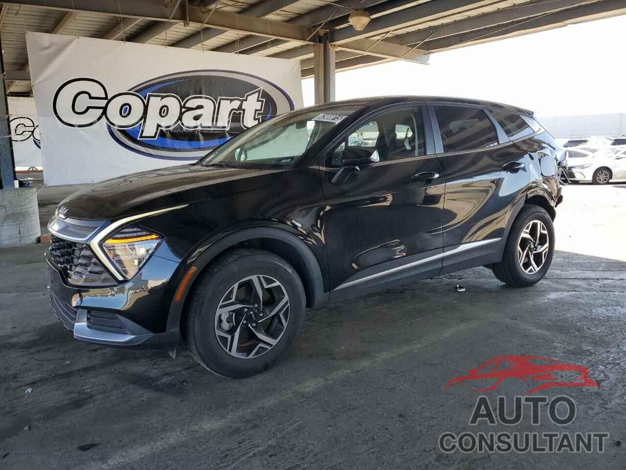 KIA SPORTAGE 2024 - KNDPUCDF5R7262166