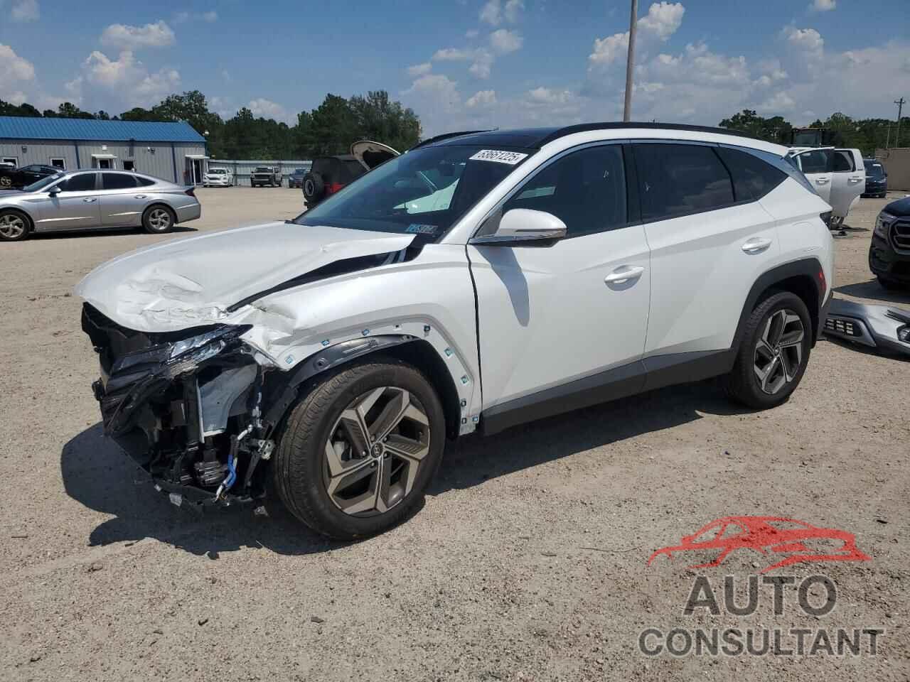HYUNDAI TUCSON 2022 - 5NMJECAE0NH121197