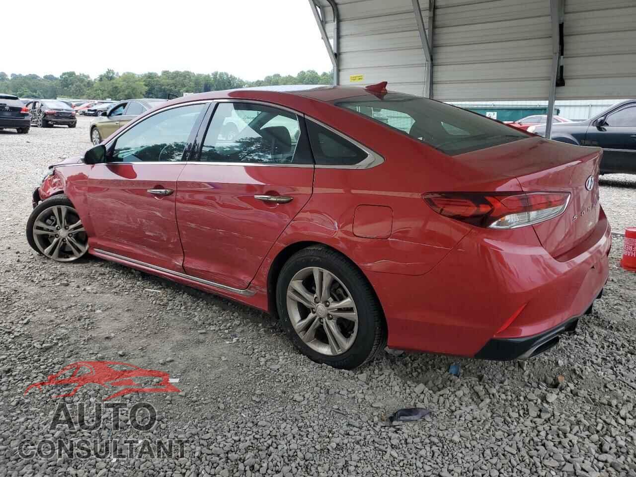 HYUNDAI SONATA 2019 - 5NPE34AF3KH797857