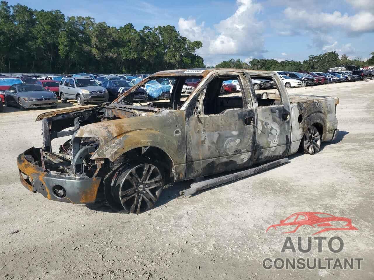 FORD F-150 2012 - 1FTFW1CF5CFC06236