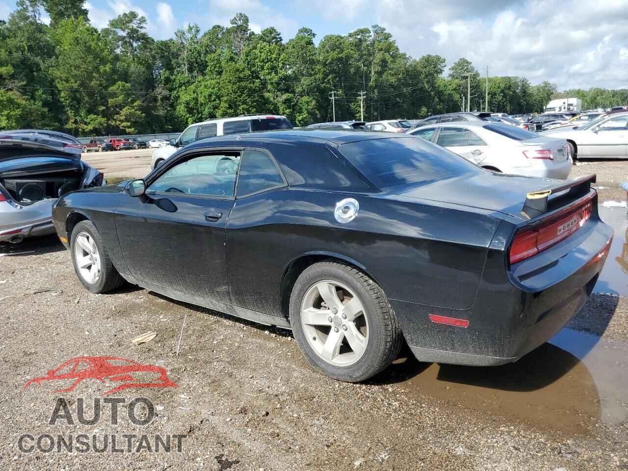 DODGE CHALLENGER 2013 - 2C3CDYAG2DH676113