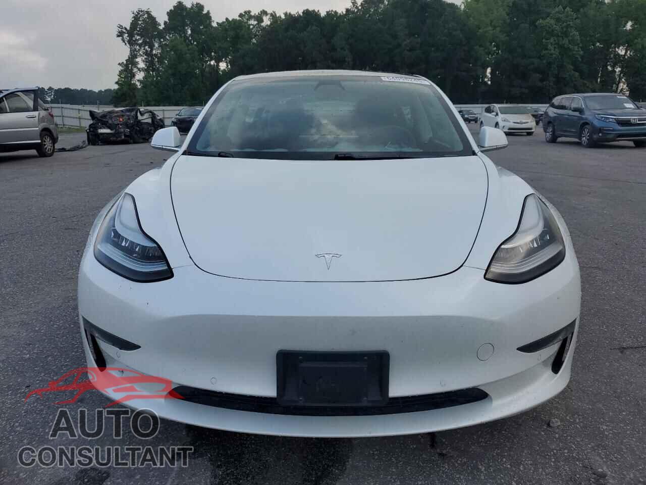 TESLA MODEL 3 2019 - 5YJ3E1EB5KF494200