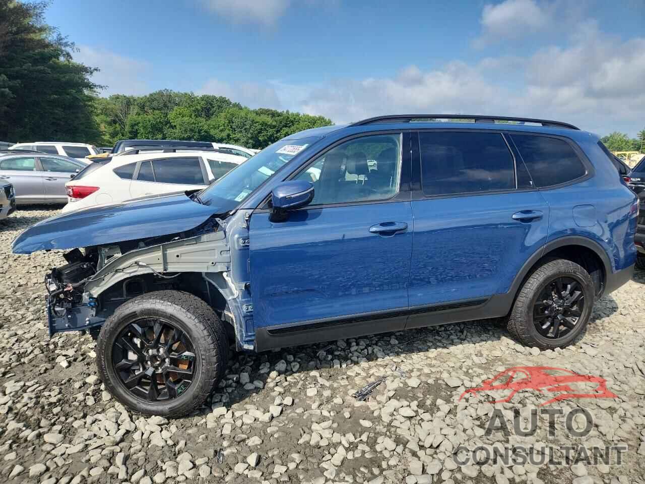 KIA TELLURIDE 2024 - 5XYP5DGCXRG421366
