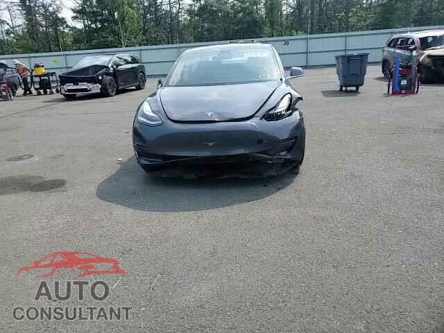 TESLA MODEL 3 2019 - 5YJ3E1EB3KF205704