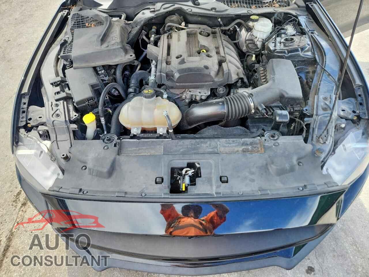 FORD MUSTANG 2019 - 1FA6P8TH2K5117077