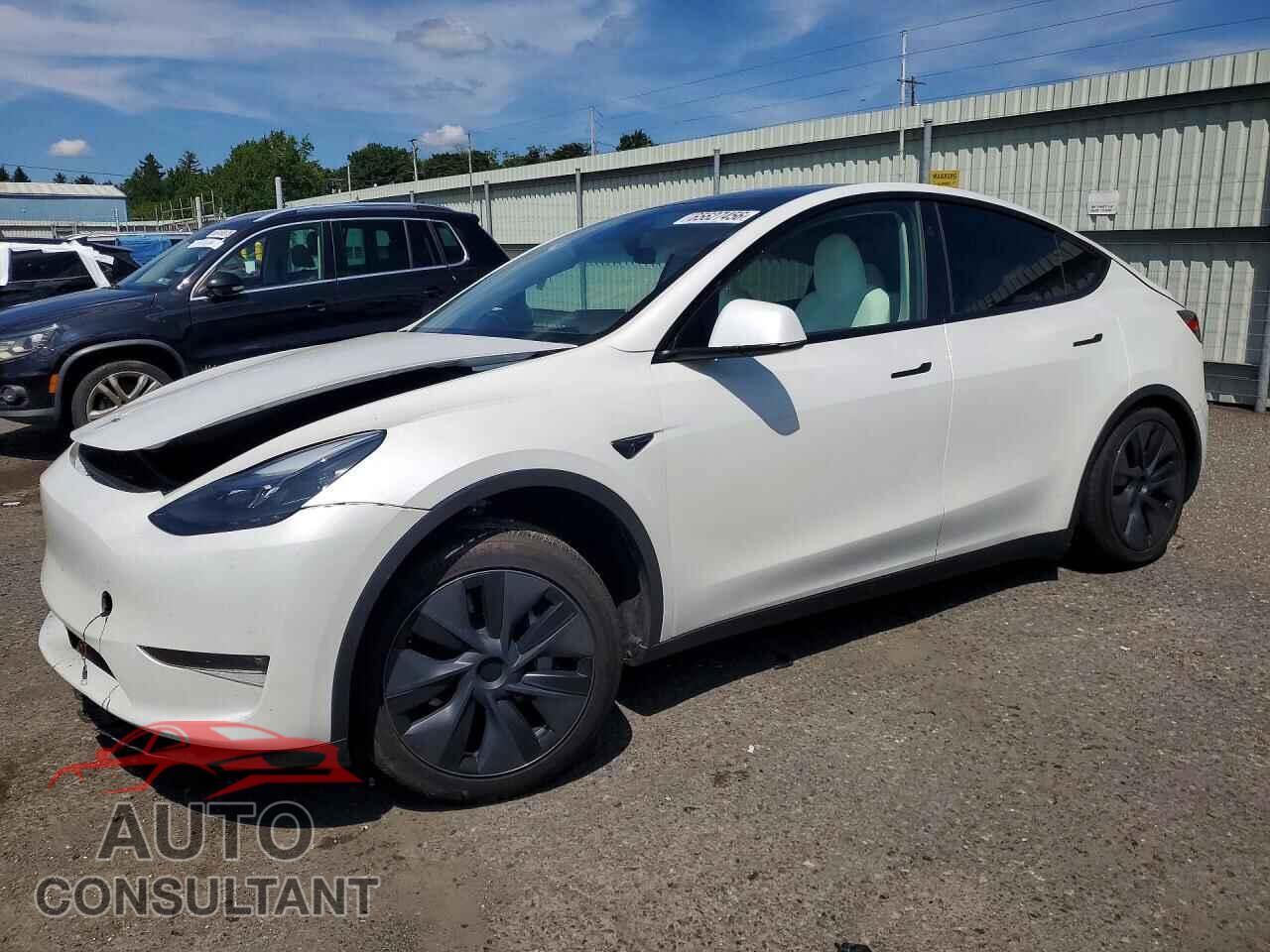 TESLA MODEL Y 2024 - 7SAYGDEE7RF213541