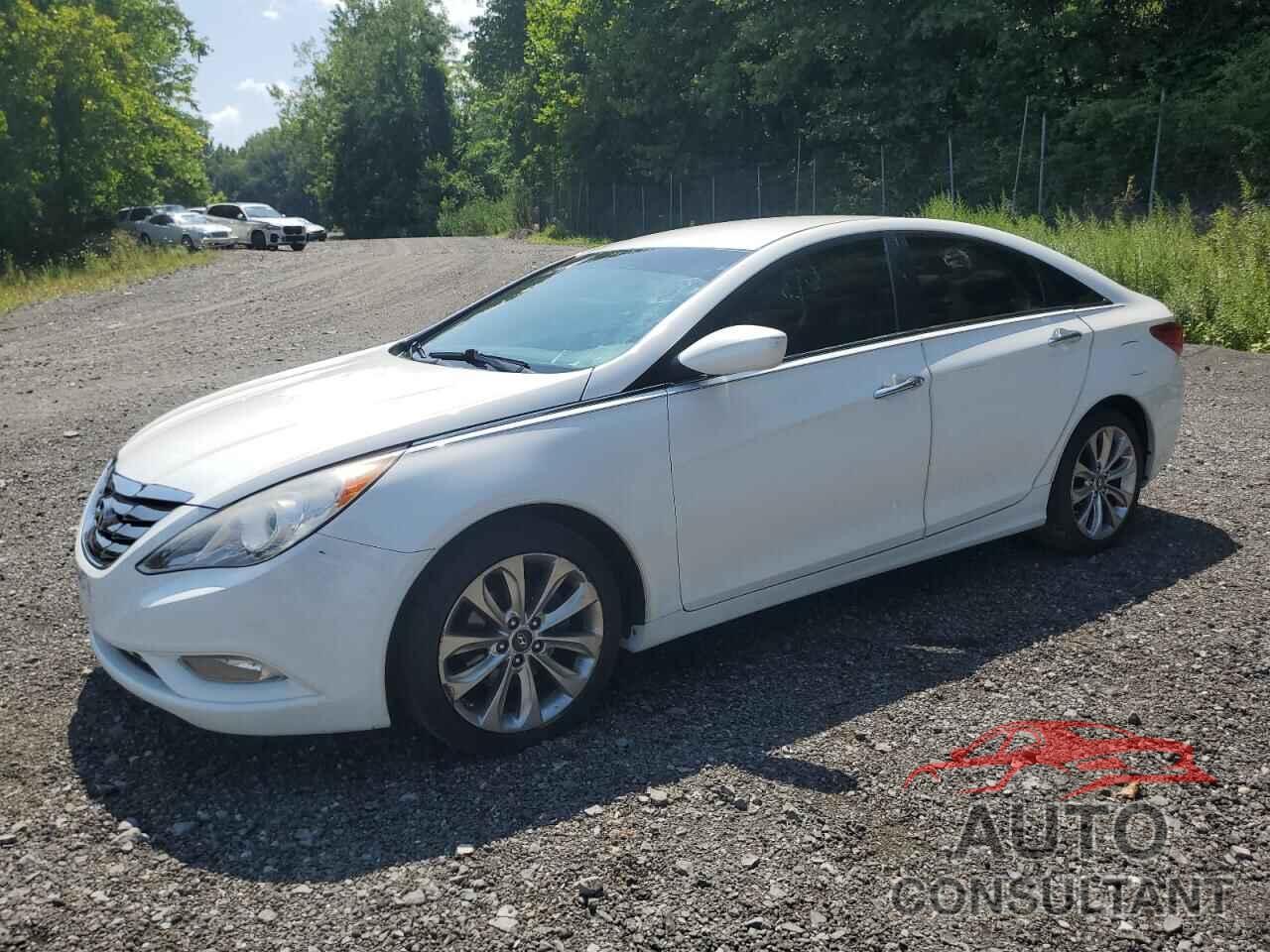 HYUNDAI SONATA 2013 - 5NPEC4AC1DH769838
