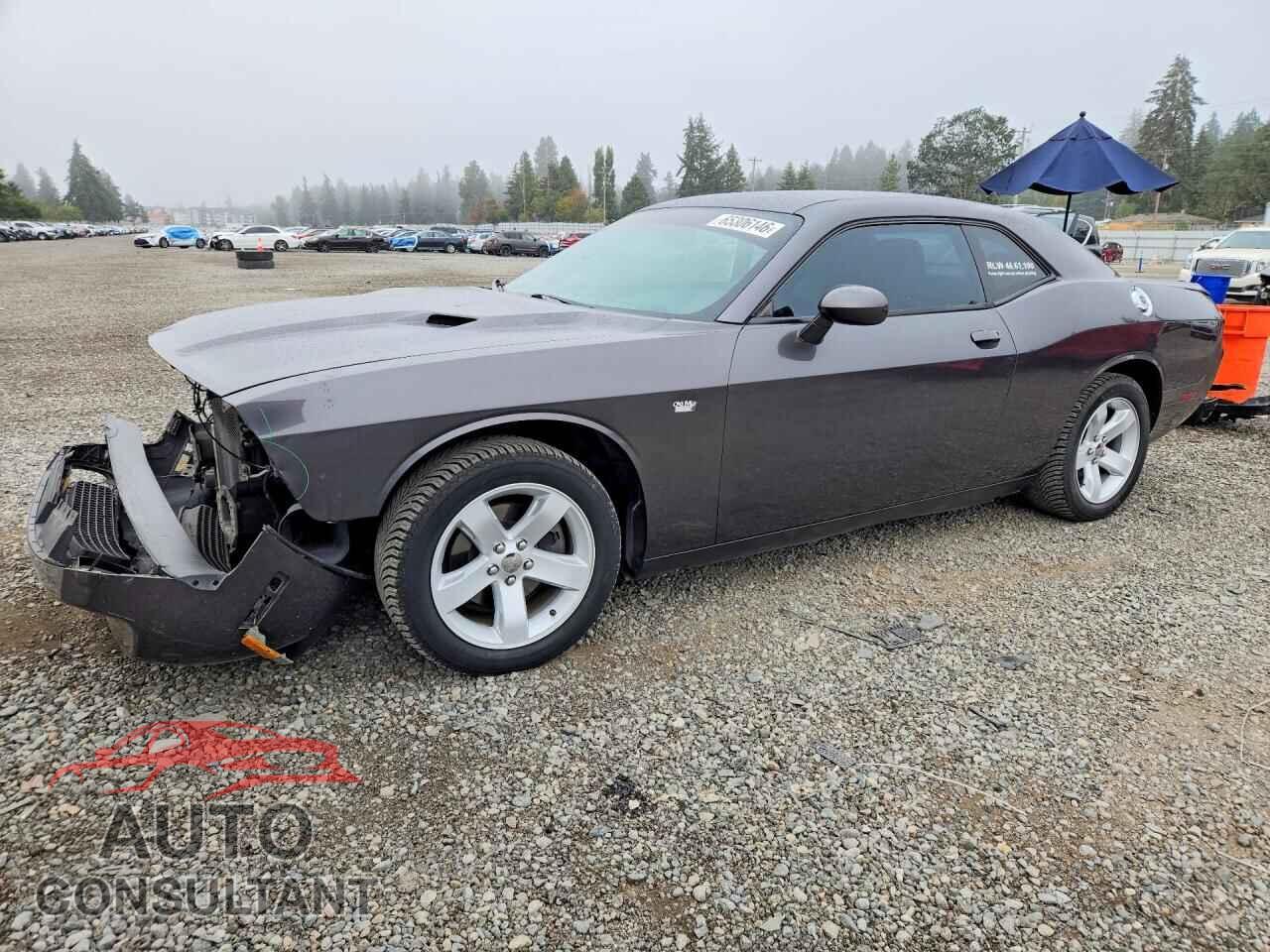 DODGE CHALLENGER 2013 - 2C3CDYAG3DH723780