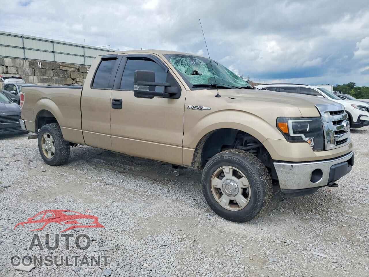 FORD F150 2012 - 1FTFX1EF6CFA43252