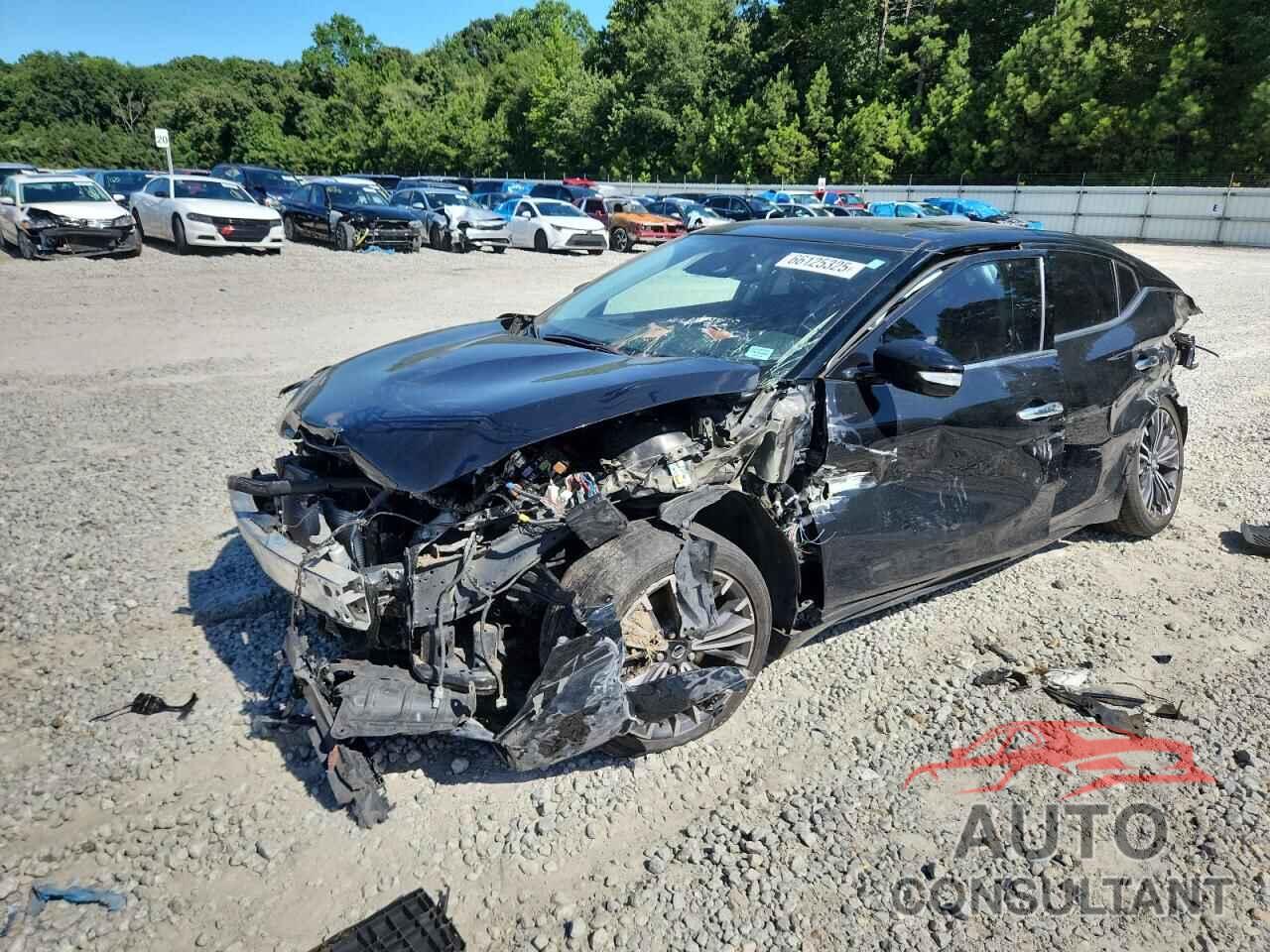 NISSAN MAXIMA 2020 - 1N4AA6DV1LC385524