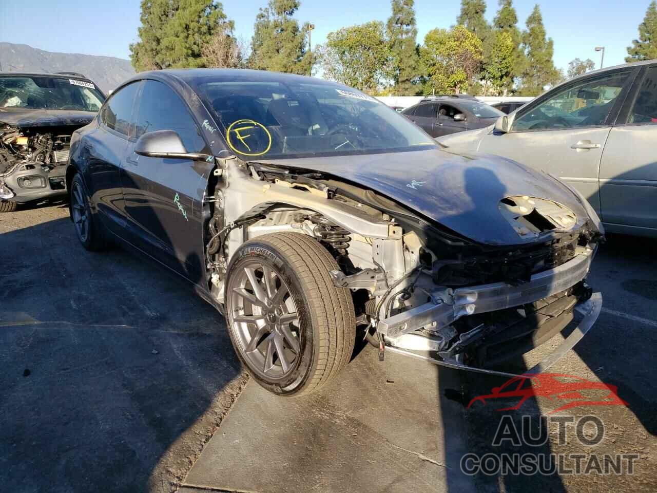 TESLA MODEL 3 2021 - 5YJ3E1EB3MF072297