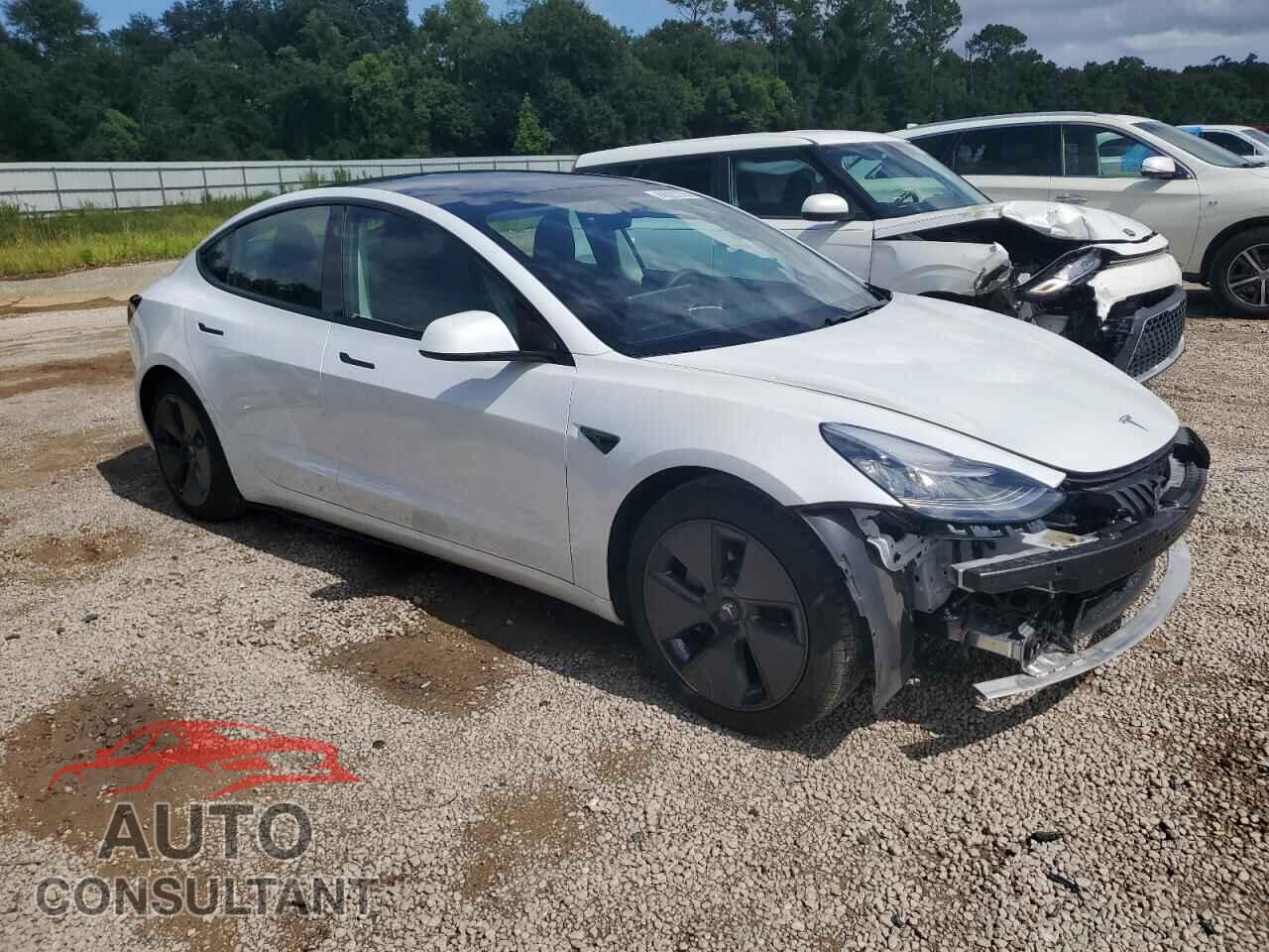 TESLA MODEL 3 2021 - 5YJ3E1EA5MF857895