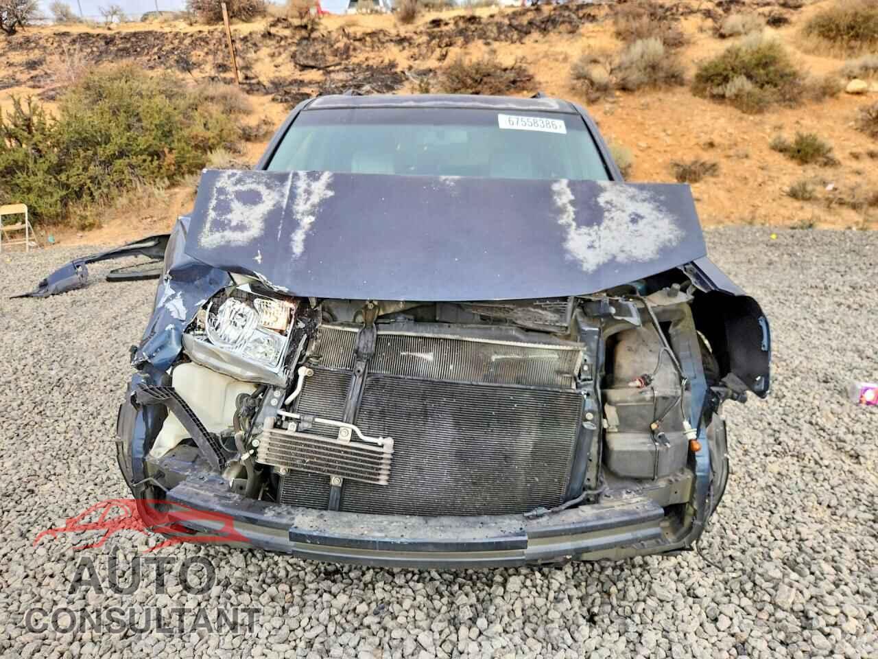 HONDA PILOT 2010 - 5FNYF4H69AB030201