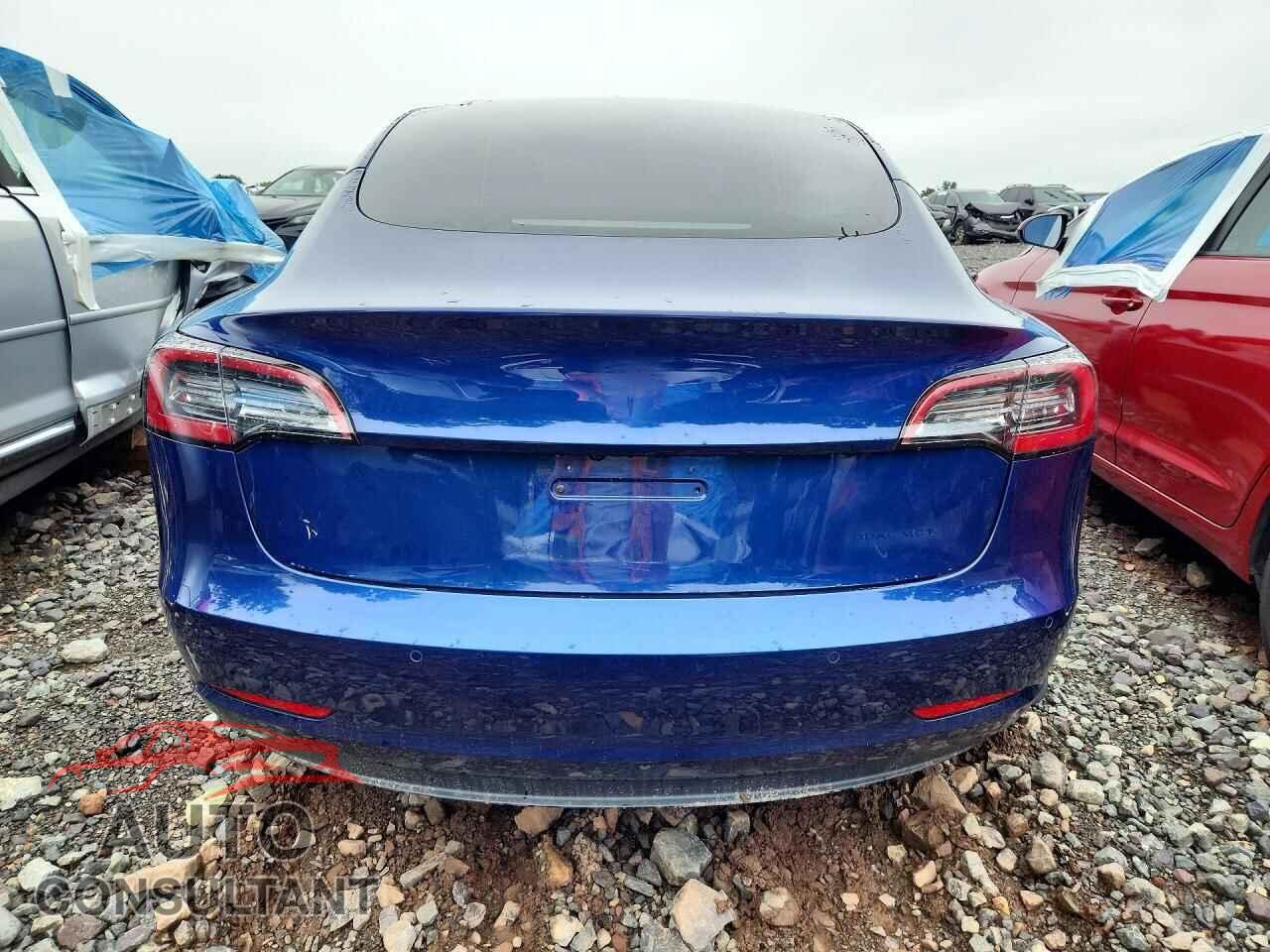 TESLA MODEL 3 2021 - 5YJ3E1EB7MF081004