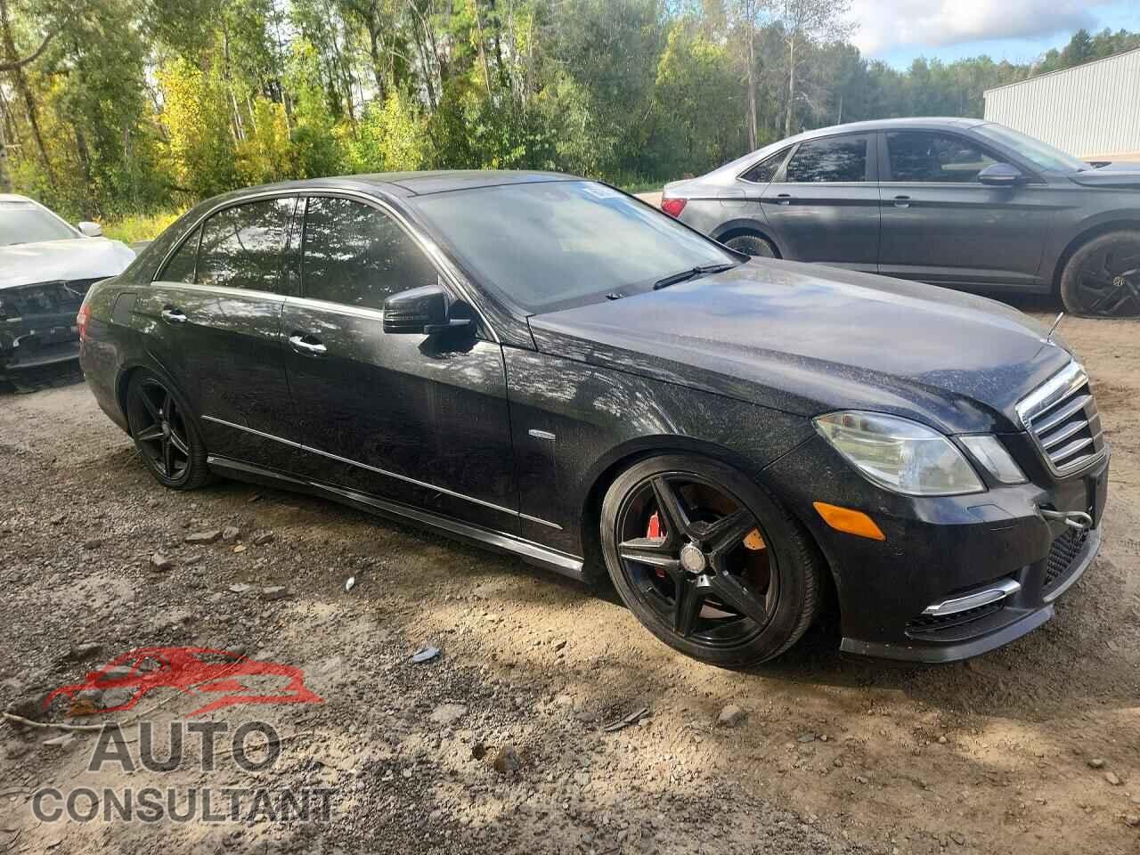 MERCEDES-BENZ E-CLASS 2012 - WDDHF9BB9CA560480